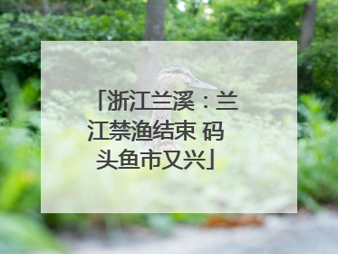 浙江兰溪：兰江禁渔结束 码头鱼市又兴