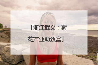 浙江武义：荷花产业助致富