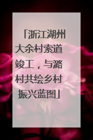 浙江湖州大余村索道竣工，与潞村共绘乡村振兴蓝图
