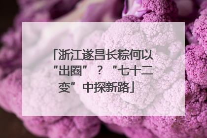 浙江遂昌长粽何以“出圈”？“七十二变”中探新路