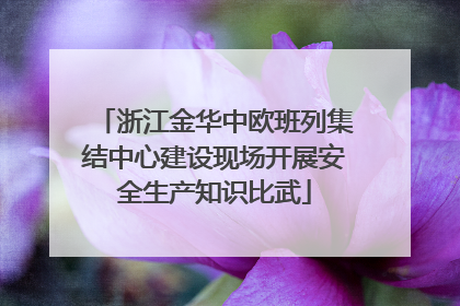 浙江金华中欧班列集结中心建设现场开展安全生产知识比武