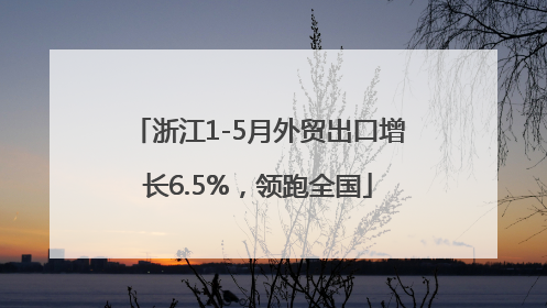 浙江1-5月外贸出口增长6.5%，领跑全国