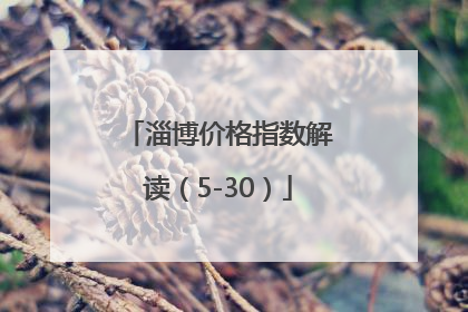 淄博价格指数解读（5-30）