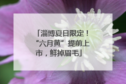 淄博夏日限定！“六月黄”提前上市，鲜掉眉毛