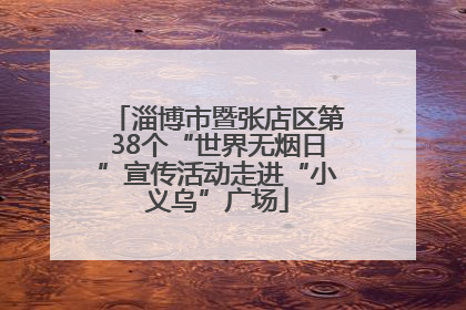 淄博市暨张店区第38个“世界无烟日”宣传活动走进“小义乌”广场