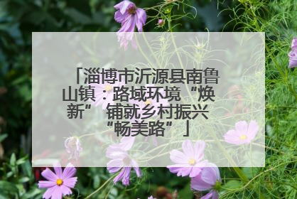 淄博市沂源县南鲁山镇：路域环境“焕新” 铺就乡村振兴“畅美路”