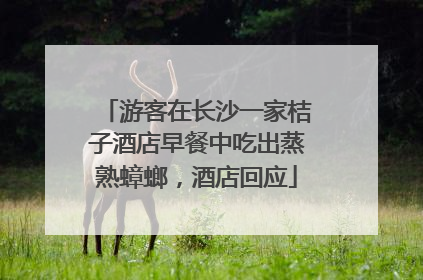 游客在长沙一家桔子酒店早餐中吃出蒸熟蟑螂，酒店回应