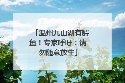 温州九山湖有鳄鱼！专家呼吁：请勿随意放生
