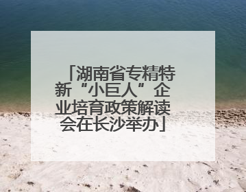 湖南省专精特新“小巨人”企业培育政策解读会在长沙举办