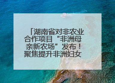 湖南省对非农业合作项目“非洲母亲新农场”发布！聚焦提升非洲妇女能力与家庭福祉