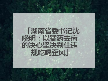 湖南省委书记沈晓明：以猛药去疴的决心坚决刹住违规吃喝歪风