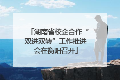 湖南省校企合作“双进双转”工作推进会在衡阳召开