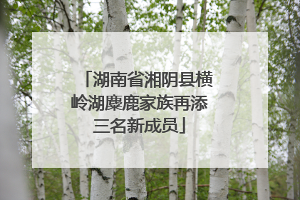 湖南省湘阴县横岭湖麋鹿家族再添三名新成员