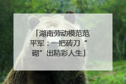 湖南劳动模范范平军：一把砖刀“砌”出精彩人生