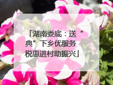 湖南娄底：送“典”下乡优服务 税惠进村助振兴
