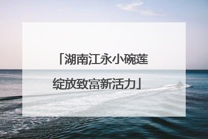 湖南江永小碗莲绽放致富新活力