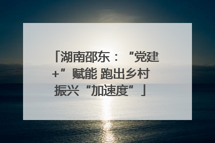 湖南邵东：“党建+”赋能 跑出乡村振兴“加速度”