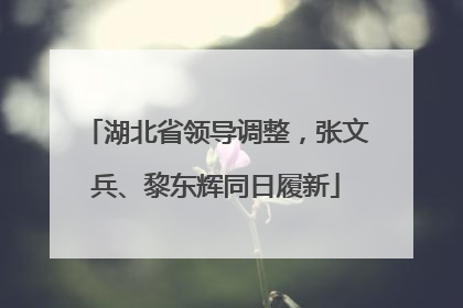 湖北省领导调整，张文兵、黎东辉同日履新