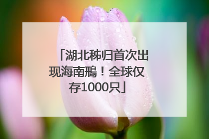 湖北秭归首次出现海南鳽！全球仅存1000只