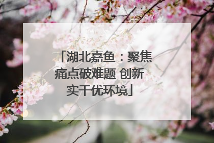 湖北嘉鱼：聚焦痛点破难题 创新实干优环境