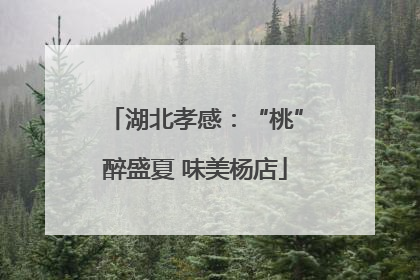 湖北孝感：“桃”醉盛夏 味美杨店