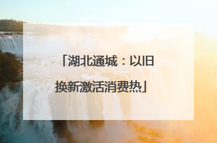 湖北通城：以旧换新激活消费热
