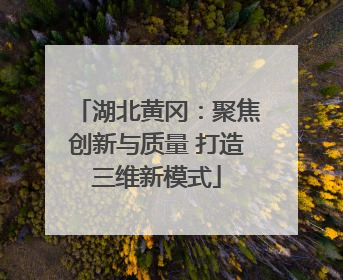湖北黄冈：聚焦创新与质量 打造三维新模式