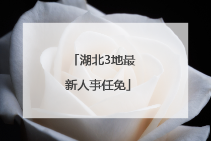 湖北3地最新人事任免