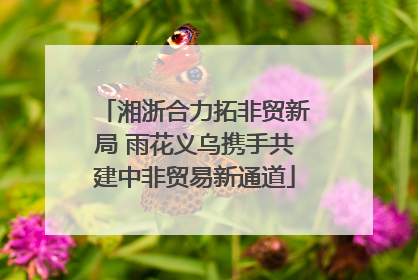 湘浙合力拓非贸新局 雨花义乌携手共建中非贸易新通道