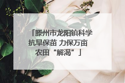 滕州市龙阳镇科学抗旱保苗 力保万亩农田“解渴”