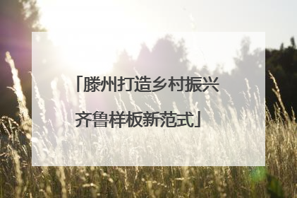滕州打造乡村振兴齐鲁样板新范式