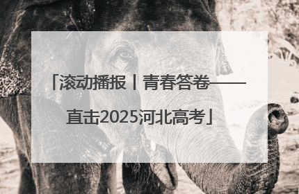 滚动播报丨青春答卷——直击2025河北高考