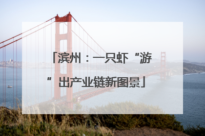滨州：一只虾“游”出产业链新图景