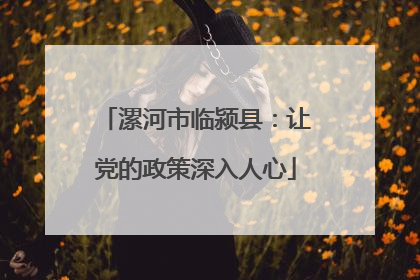 漯河市临颍县：让党的政策深入人心