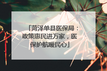 菏泽单县医保局：政策惠民进万家，医保护航暖民心