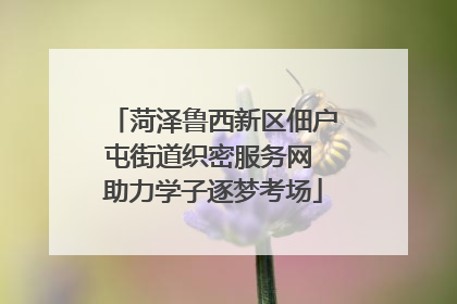 菏泽鲁西新区佃户屯街道织密服务网 助力学子逐梦考场