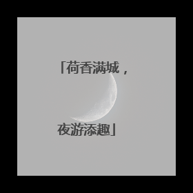 荷香满城，夜游添趣