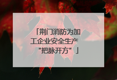 荆门消防为加工企业安全生产“把脉开方”