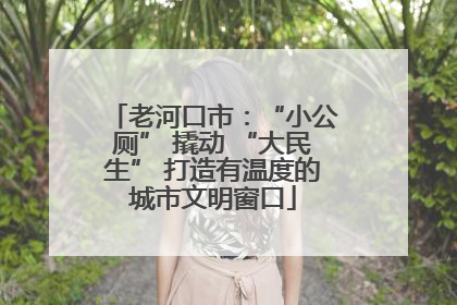 老河口市：“小公厕” 撬动 “大民生” 打造有温度的城市文明窗口