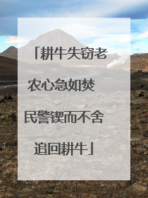 耕牛失窃老农心急如焚 民警锲而不舍追回耕牛