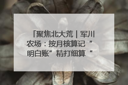 聚焦北大荒｜军川农场：按月核算记“明白账”精打细算“过紧日子”