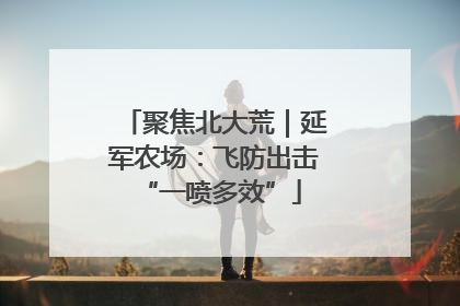 聚焦北大荒｜延军农场：飞防出击 “一喷多效”