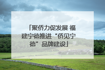 聚侨力促发展 福建宁德推进“侨见宁德”品牌建设