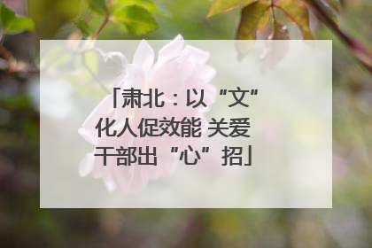 肃北：以“文”化人促效能 关爱干部出“心”招