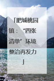 肥城桃园镇：“四张清单”环境整治再发力
