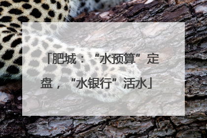 肥城：“水预算”定盘，“水银行”活水