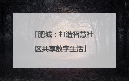 肥城：打造智慧社区共享数字生活