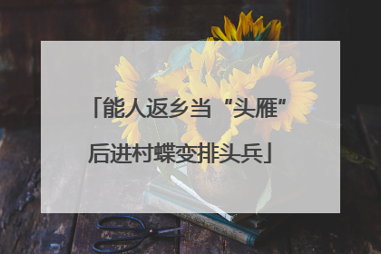 能人返乡当“头雁” 后进村蝶变排头兵