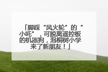 脚踩“风火轮”的“小吒”，可脱离遥控板的机器狗，泡桐树小学来了新朋友！
