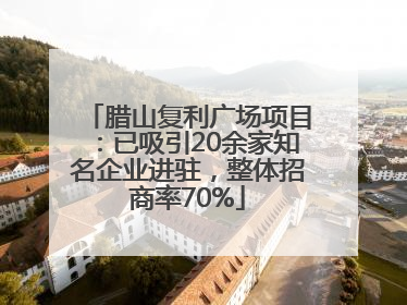 腊山复利广场项目：已吸引20余家知名企业进驻，整体招商率70%
